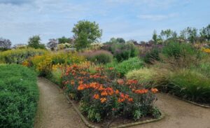 Jardins naturalistes : les meilleures plantes vivaces. Un livre par Piet Oudolf.
