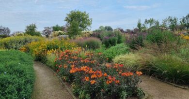 Jardins naturalistes : les meilleures plantes vivaces. Un livre par Piet Oudolf.