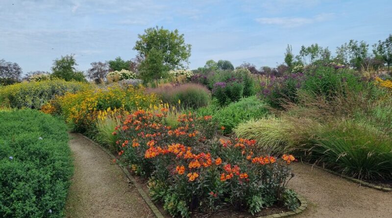 Jardins naturalistes : les meilleures plantes vivaces. Un livre par Piet Oudolf.