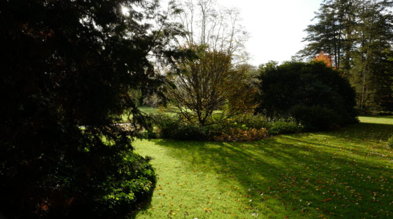 Arboretum de Wespelaar : dans cet environnement boisé, l’intensité de l’ombre varie.