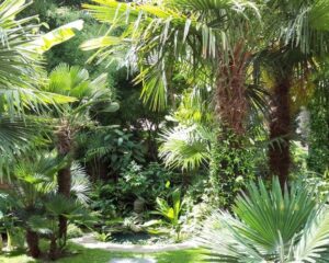 Garden Tales : visitez les plus beaux jardins et parcs de Bruxelles