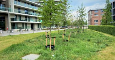 L’INTERACTION ENTRE LA CONSTRUCTION ET LE CLIMAT EN QUATRE THÈMES