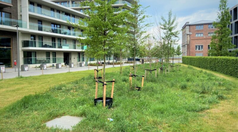 L’INTERACTION ENTRE LA CONSTRUCTION ET LE CLIMAT EN QUATRE THÈMES