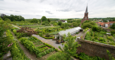 Journées des Plantes et Jardins au château de Hex