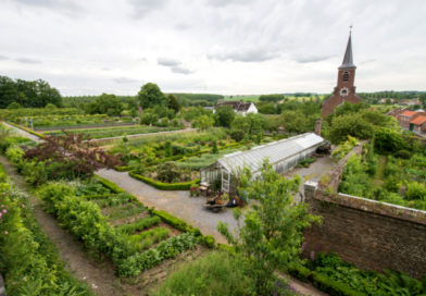 Journées des Plantes et Jardins au château de Hex