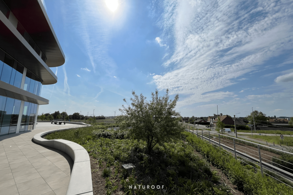 Toitures végétales et jardins de toiture