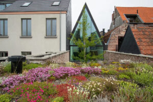 Toitures végétales et jardins de toiture