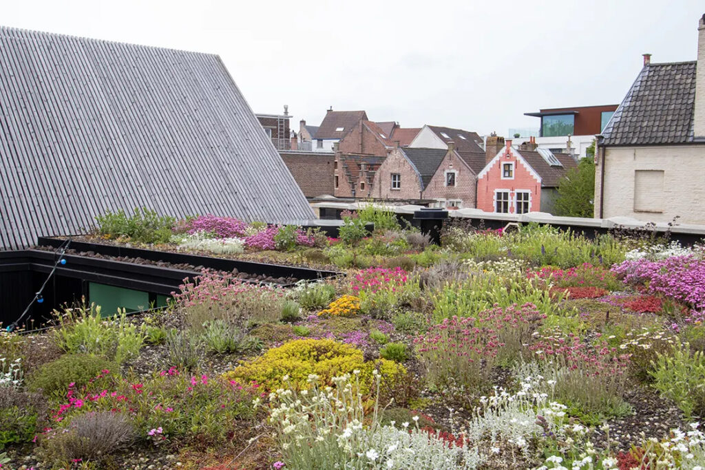 Toitures végétales et jardins de toiture