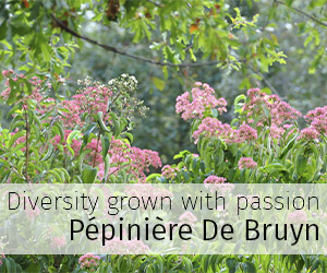 Diversity grown with passion. Pépinière De Bruyn