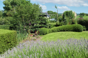 Médaille d'Or pour l'entreprise Jardin en perspective : Un projet à la croisée des âmes