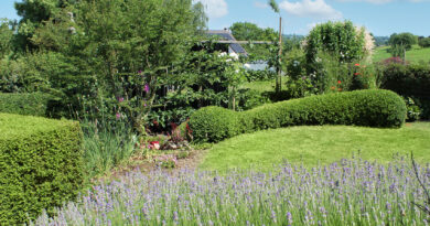 Médaille d'Or pour l'entreprise Jardin en perspective : Un projet à la croisée des âmes