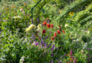 Le jardin de Claude Monet, source d'inspiration pour des plantations urbaines pittoresques