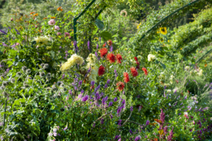 Le jardin de Claude Monet, source d'inspiration pour des plantations urbaines pittoresques