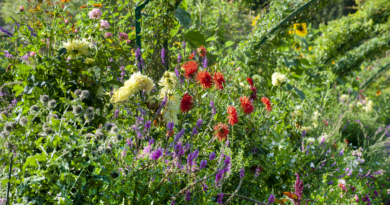 Le jardin de Claude Monet, source d'inspiration pour des plantations urbaines pittoresques