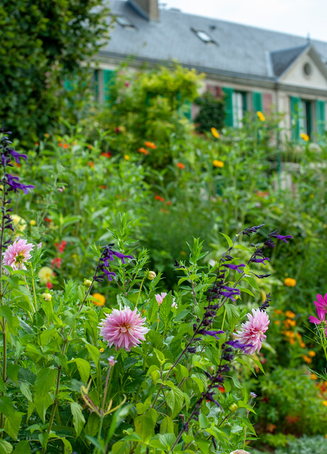 Le jardin de Claude Monet, source d'inspiration pour des plantations urbaines pittoresques