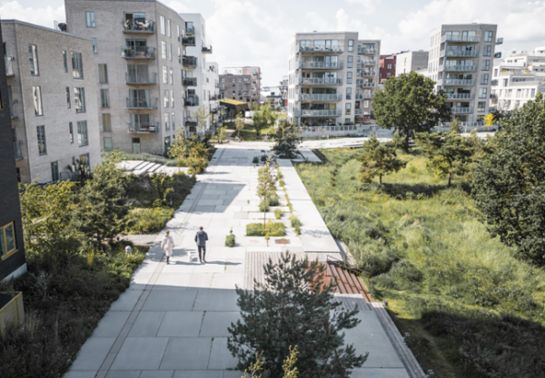 Exemple de projet de végétalisation urbaine (SLA, source : sla.dk)