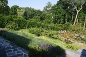 Gagnant du Concours de l'Entrepreneur de Jardins de Wallonie : Henrion Jardins SRL : Plongeon maîtrisé sur l’étang