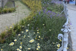 Rénovation unique du jardin de l'église de Vilvorde