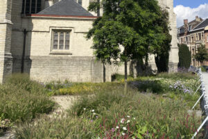 Rénovation unique du jardin de l'église de Vilvorde