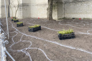Rénovation unique du jardin de l'église de Vilvorde