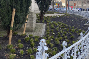 Rénovation unique du jardin de l'église de Vilvorde