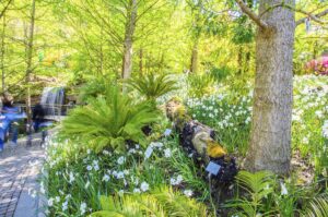 A la découverte des jardins du château de Trauttmansdorff