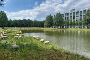 Dolmans Landscaping Group