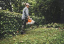 Puissance de soufflage maximale avec le nouveau STIHL BGA 250
