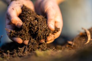Gestion durable des sols et des pelouses : le sol, fondement essentiel