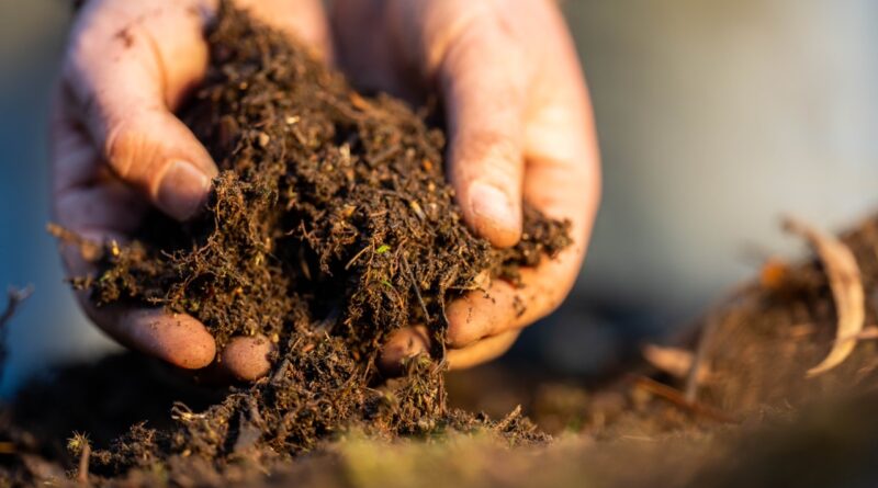 Gestion durable des sols et des pelouses : le sol, fondement essentiel