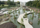 L’île des merveilles : découverte d’un jardin marécageux qui allie art, nature et écologie dans le jardin botanique de Meise