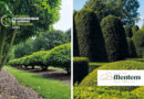 Pépinière Mentens, nouveau partenaire d’or du Concours de l’Entrepreneur de Jardins de Wallonie