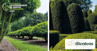 Pépinière Mentens, nouveau partenaire d’or du Concours de l’Entrepreneur de Jardins de Wallonie