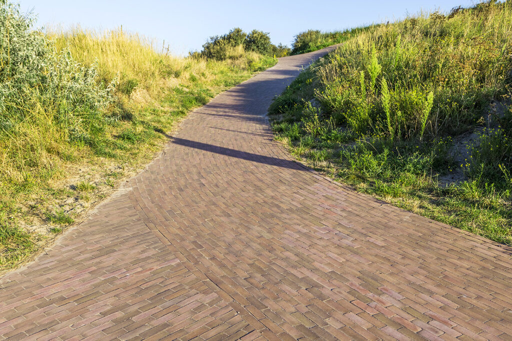 Les pavés en terre cuite, un choix durable pour les revêtements publics