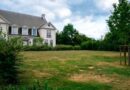 Approche à long terme pour une pelouse résistante à la sécheresse