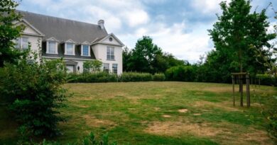 Approche à long terme pour une pelouse résistante à la sécheresse