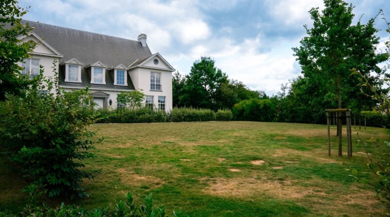 Approche à long terme pour une pelouse résistante à la sécheresse