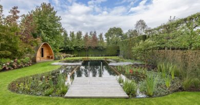 Cet étang de baignade réalisé par Geoblauw est vraiment très original. Le bassin de natation est construit entièrement en bois de mélèze européen, neutre en CO2, ce qui contribue non seulement à la durabilité du projet, mais lui donne un bel aspect naturel.