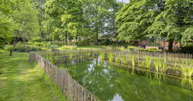 Le travail d’un entrepreneur de jardins a toujours un impact sur la nature. L’équipe de Lima Verde assume pleinement cette responsabilité et a choisi, pour la réalisation de ce projet, une approche résolument climato-adaptative.