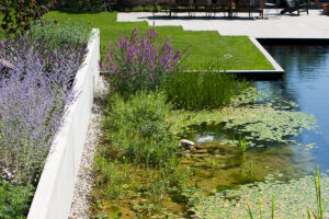 De la conception à la réalisation : comment responsabilisation et gestion intelligente de l’eau conduisent à des jardins résilients