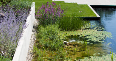 De la conception à la réalisation : comment responsabilisation et gestion intelligente de l’eau conduisent à des jardins résilients