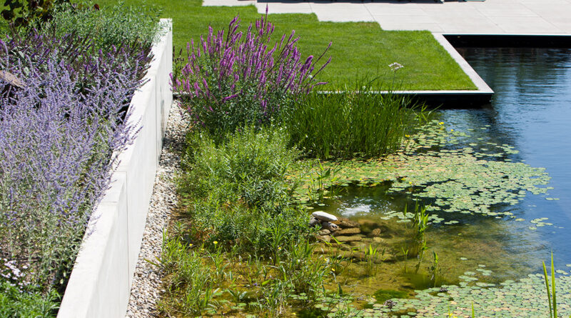 De la conception à la réalisation : comment responsabilisation et gestion intelligente de l’eau conduisent à des jardins résilients