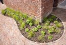 Les formes organiques au jardin