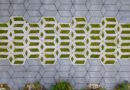 Le design circulaire s’invite chez Schellevis